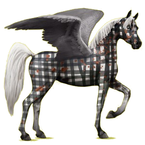 Pégase de selle Arabe Rouan