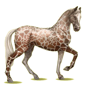 Cheval de selle Akhal-Téké Rouan