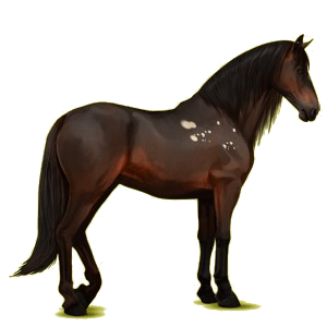 Cheval de selle Lipizzan Gris Pommelé