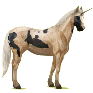 Licorne de selle Appaloosa Spotted Bai