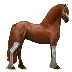 Cheval de selle Frison Noir