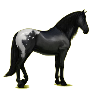 Pégase de selle Lipizzan Gris Clair