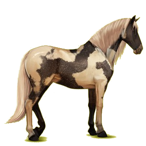 Cheval de selle Paso Péruvien Alezan