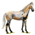 Cheval de selle Anglo-Arabe Gris Clair