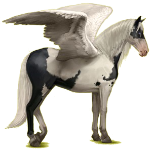 Pégase de selle Lipizzan Bai