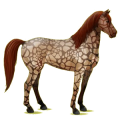 Cheval de selle Mustang Alezan Brûlé