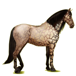 Cheval de selle Lusitanien Gris Pommelé