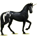 Licorne de selle Noir