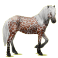 Cheval de selle Gris Pommelé