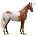 Licorne de selle Hanovrien Alezan Crins Lavés