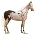 Cheval de selle Hanovrien Bai Cerise