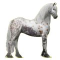 Cheval de selle Frison Noir