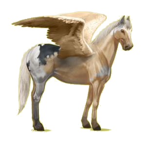 Pégase de selle Paint Horse Pie Tovero Bai