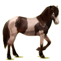 Cheval de selle Gris Pommelé