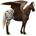 Pégase de selle Paint Horse Pie Tobiano Alezan