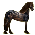Cheval de selle Frison Noir