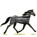 Cheval de selle Morgan Noir