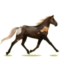 Cheval de selle Trotteur Français Bai Cerise