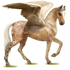 Pégase de selle Akhal-Téké Palomino