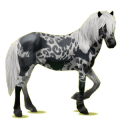 Cheval de selle Camargue Gris Clair