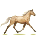 Cheval de selle Trotteur Américain Alezan