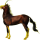 Licorne de selle Akhal-Téké Bai Brûlé