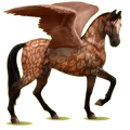 Pégase de selle Akhal-Téké Bai Cerise