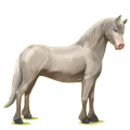 Poney Noir