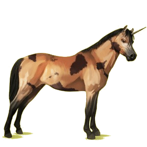 Poney licorne Poney de Selle Belge Noir