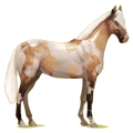 Cheval de selle Hunter Irlandais Gris Pommelé