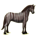 Poney New Forest Bai Brûlé