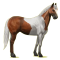 Cheval de selle Paint Horse Pie Tobiano Alezan