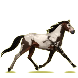14137-normal.png