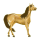 Cheval de selle Arabe Bai Cerise