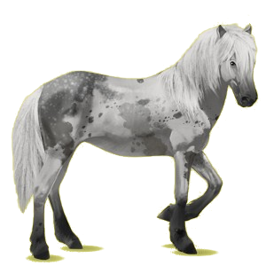 Cheval de selle Brumby Alezan