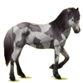 Cheval de selle Camargue Noir