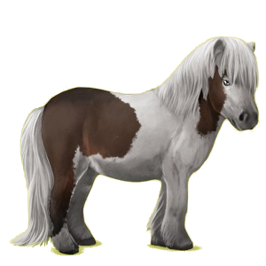 Poney Shetland Alezan