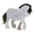 Cheval de selle Lipizzan Gris Clair
