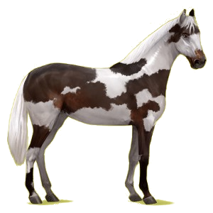 Cheval de selle Hanovrien Bai Cerise