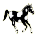 Cheval de selle Paint Horse Pie Noir Tobiano