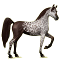 Cheval de selle Arabe Gris Souris