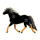 Cheval de selle Holstein Noir