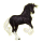 Cheval de selle Arabe Bai Brûlé
