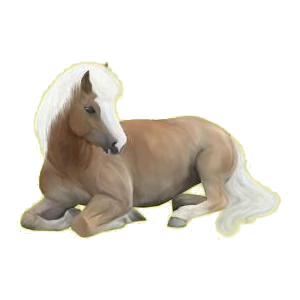 Poney Français de Selle Gris Clair