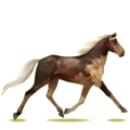 Cheval de selle Trotteur Français Alezan