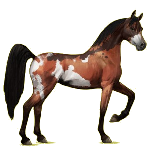 16780-normal.png