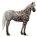 Cheval de selle Paint Horse Pie Tobiano Palomino
