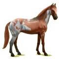 Cheval de selle Selle Français Alezan