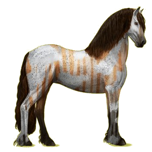 Cheval de selle Frison Noir
