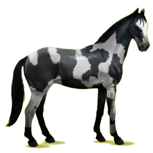 X